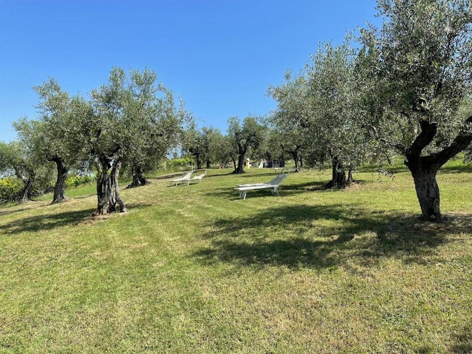 Locanda Belvedere Saludecio Dış mekan fotoğraf